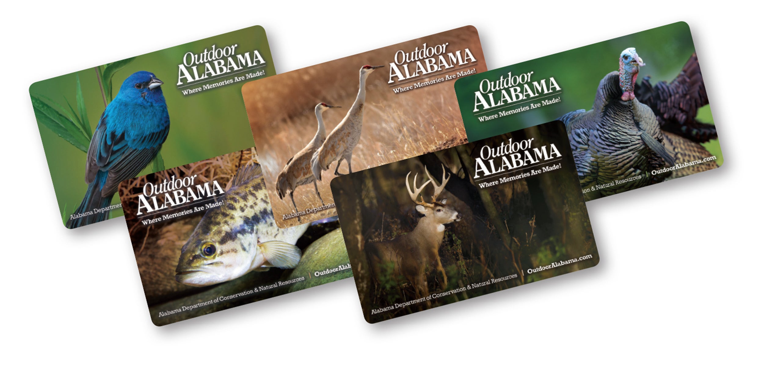 Alabama Wildlife Art Hard Licenses Now on Sale | Outdoor Alabama